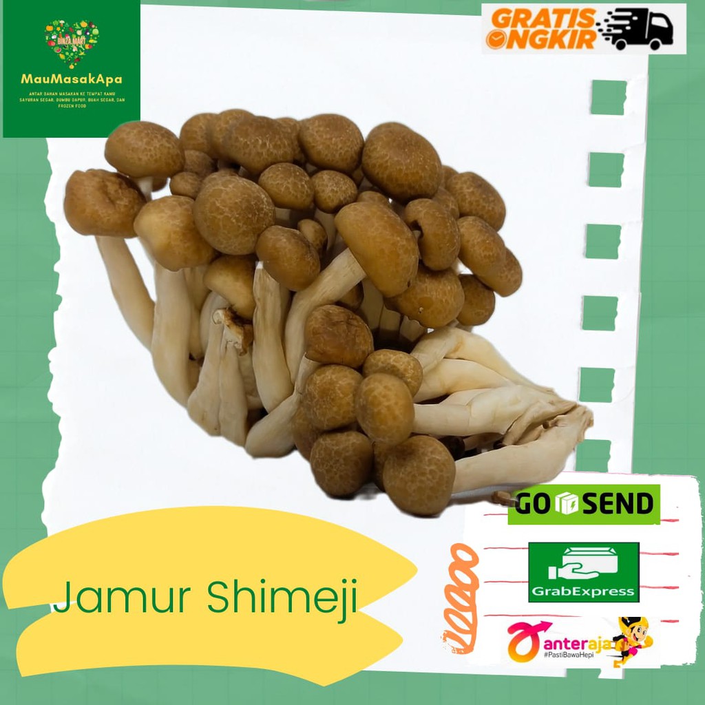 Jual Jamur Shimeji / Pack / Berat 150 gr Shopee Indonesia