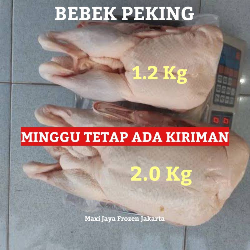 Jual Bebek Peking Super 2.2 Kg / 2 Kg / 1.1 Kg Bebek Frozen Daging
