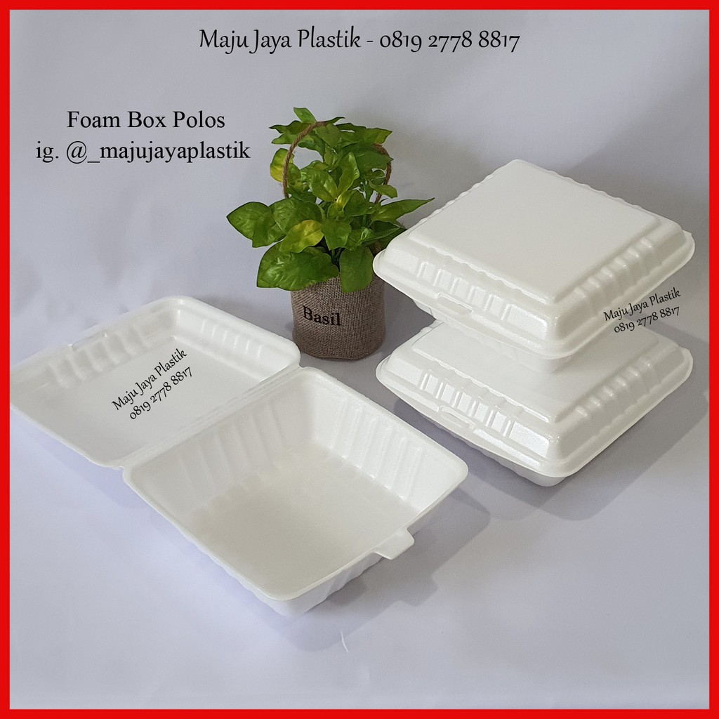 Jual Isi 100 stereofoam nasi polos / kotak gabus nasi / styrofoam nasi