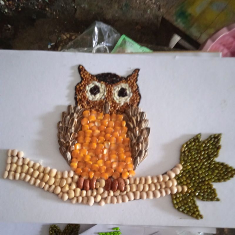 Jual Kolase Burung Hantu Kelas 1 Indonesia|Shopee Indonesia 800_X_800_jpg