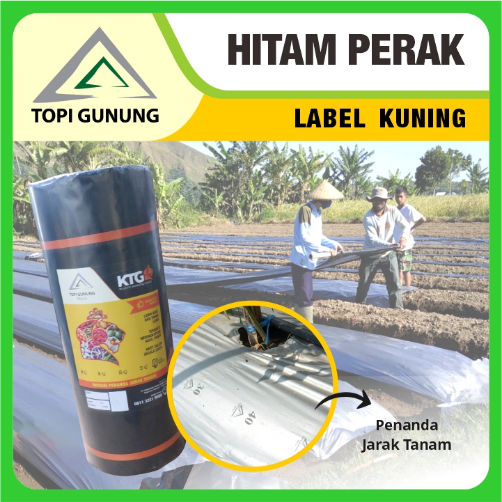 Jual Mulsa Topi Gunung Hitam Perak Besar 17 kg Label Kuning