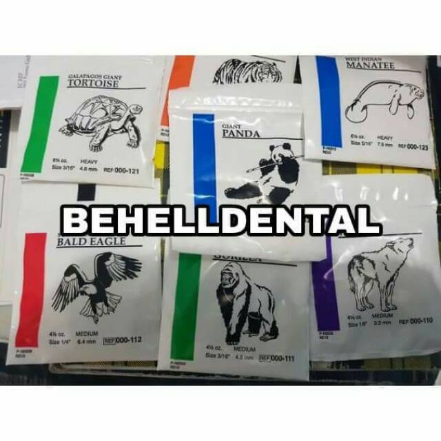 Karet behel elastic . rubber band . American orthodontics elastics