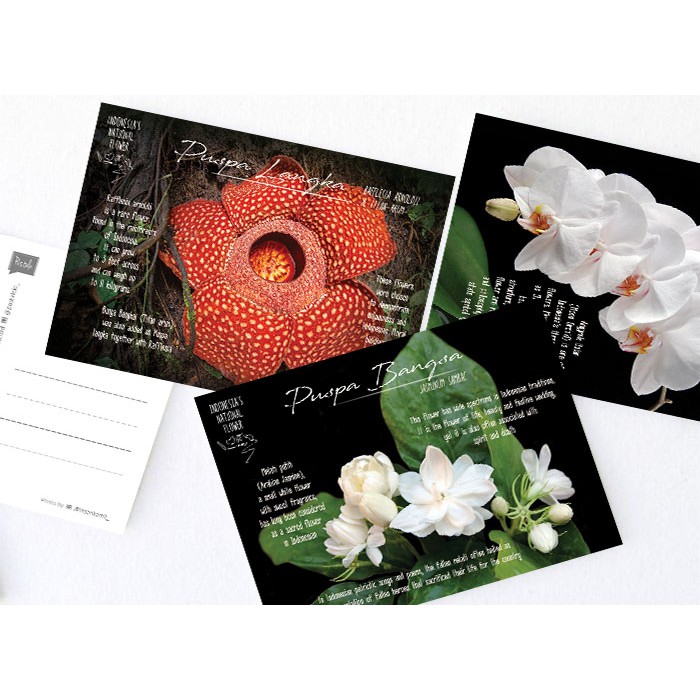 Kartu Pos Flora Postale Shopee Indonesia