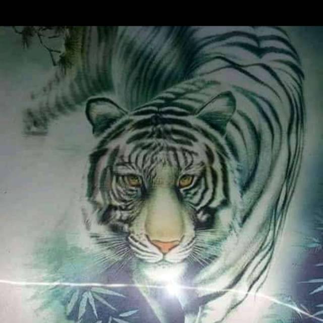 Tasbeh khodam macan putih | Shopee Indonesia