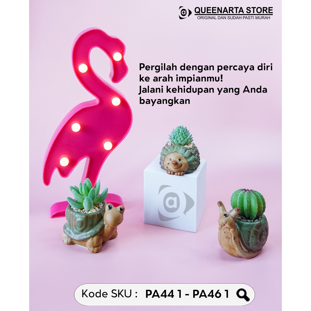 Jual Queenarta Sukulen Mini Jenis Tanaman Kaktus dan Bunga Hias Plastik