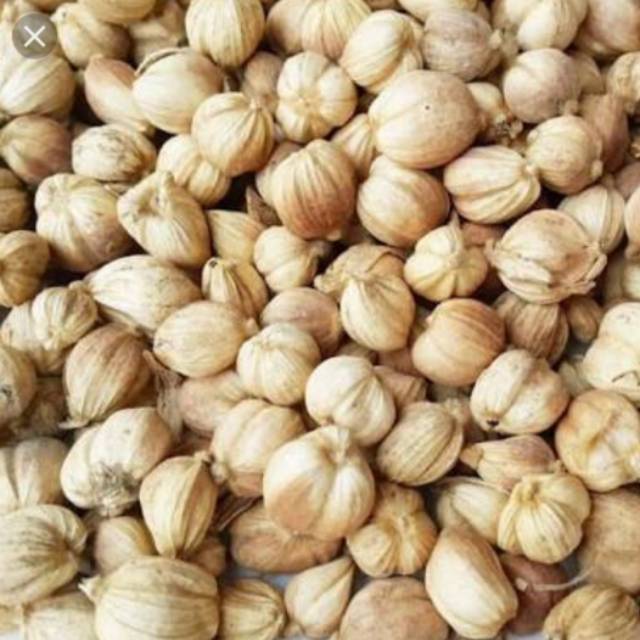 Kapol Kapulaga Kering Bumbu Masakan Obat Tradisional Kemasan 100gram |  Shopee Indonesia