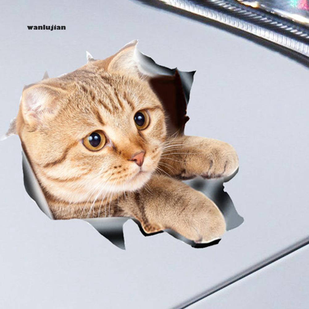 Paling Inspiratif Stiker Wa Kucing Imut Aneka Stiker Keren