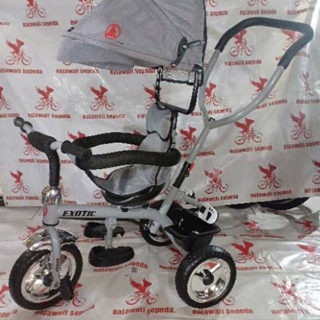 Sepeda Roda Tiga Exotic 8802 Arumi Gambar