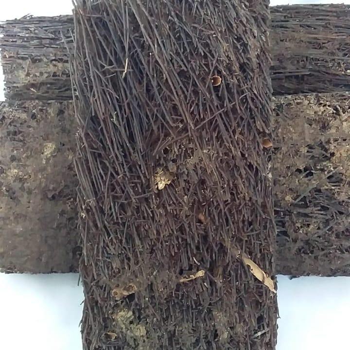 Media Tanam Anggrek Pakis Blok | Shopee Indonesia