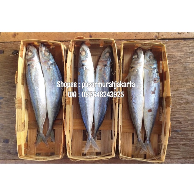 Jual Ikan Cue / Cuwe Keranjang 2 Ekor Fresh Segar Enak Pasar Murah