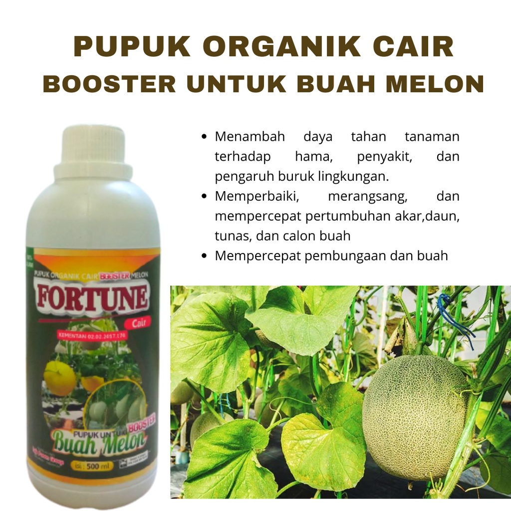 Jual Pupuk Organik Booster Melon Pupuk Khusus Pembesar Buah Melon
