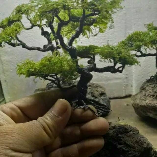 Jual Miniatur Bonsai Cantik Size Xl Aquascape Aquarium Indonesia|Shopee  Indonesia