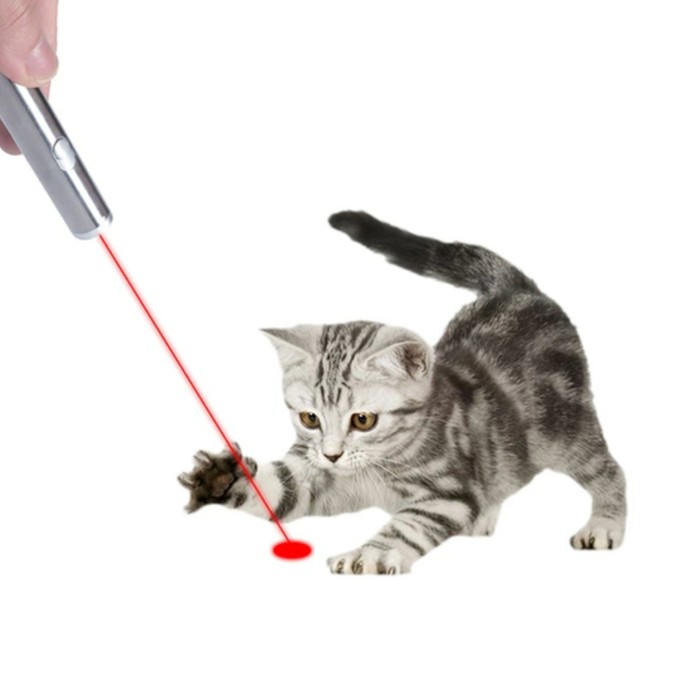 Mainan Kucing Laser Interaktif Shopee Indonesia