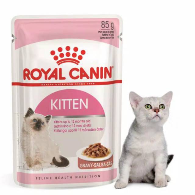 Jual Royal Canin Kitten Pouch 85Gr Wet Food/Makanan Kucing Sachet Indonesia|Shopee Indonesia