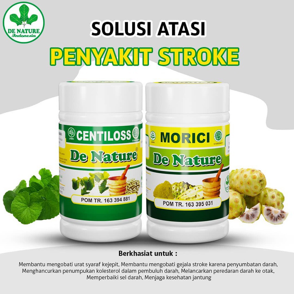 Jual cara mengobati stroke lumpuh sebelah kanan Indonesia|Shopee Indonesia