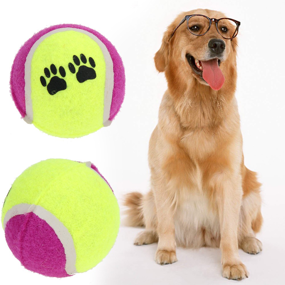 Dog Toy Launcher Wow Blog