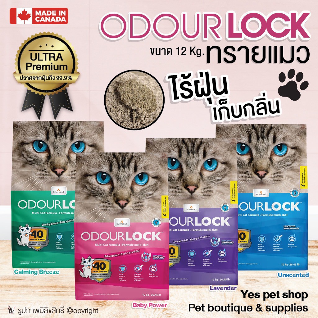 OdourLock 12 Kg. จัดด่วน ทรายแมว cat litter เกรดอัลตราพรีเมียม 12 กก.