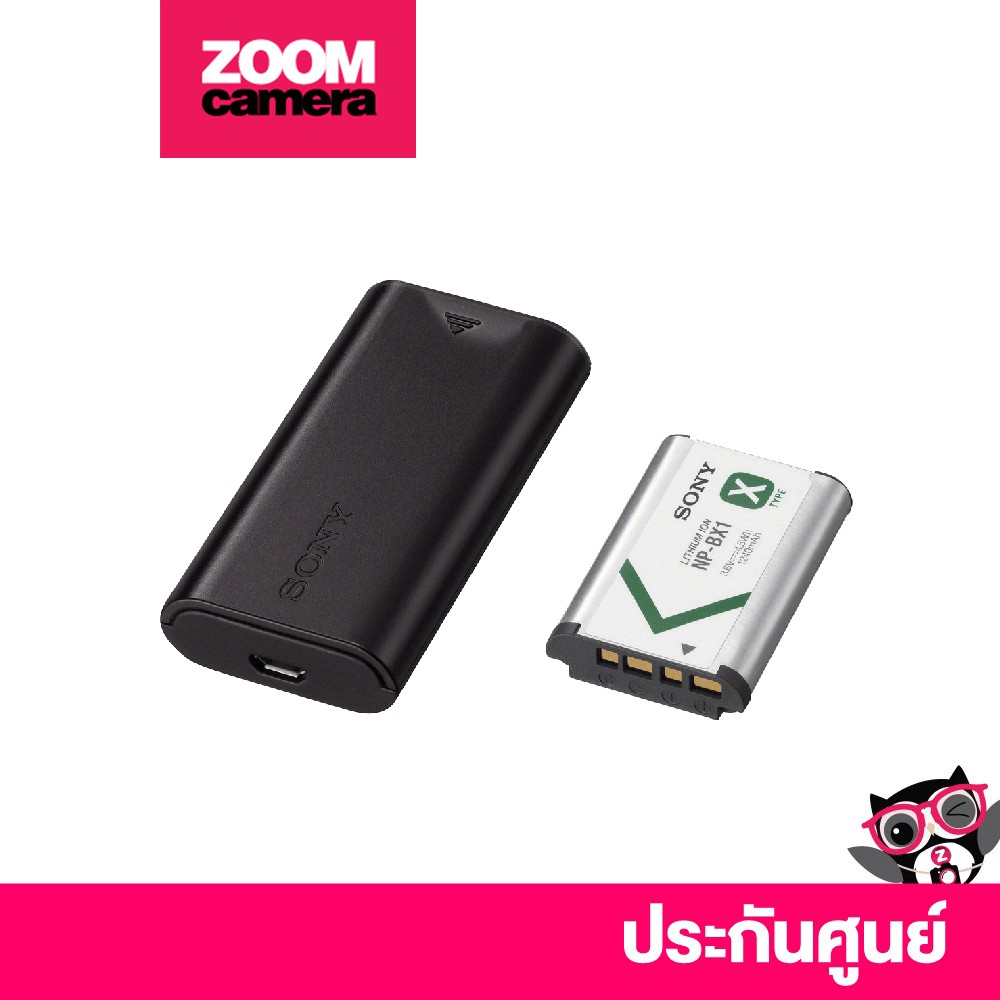 Sony ACCTRDCX Battery and Travel DC Charger Kit with NPBX1 Battery