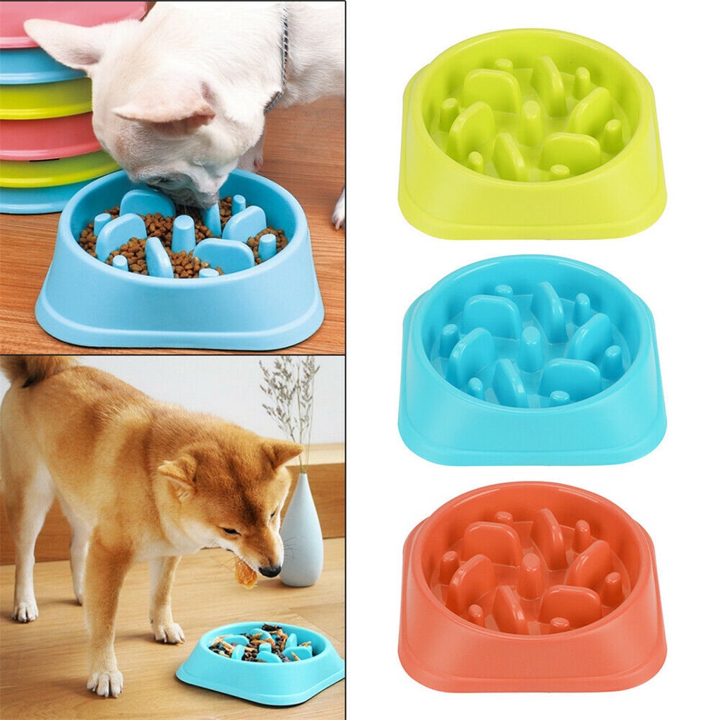 [GLOBAL] Pet Slow Feeder Anti Choke Antislip Slow Eating Feeding
