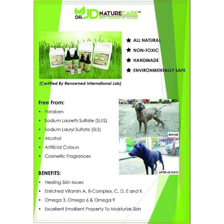 Dr. JD / Q Nature Care Raw Honey with Sweet Almond Dog Shampoo 500ML