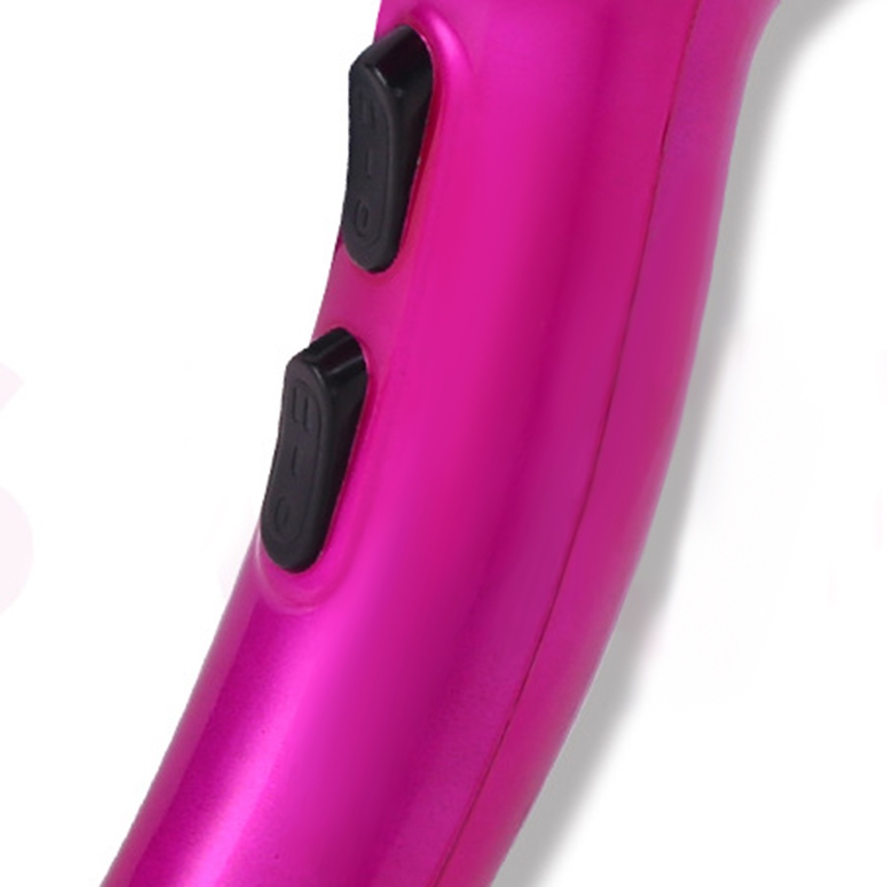 2000W Handheld Pet Hair Dryer Dog Cat Mute Blower Heater Quickly Drying