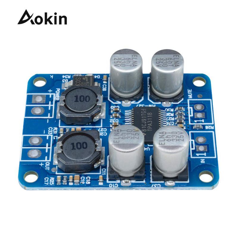 Aokin DC824V TPA3118 PBTL Mono Sound 60W Digital Audio Amplifier Board