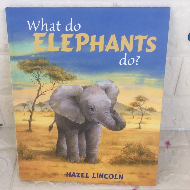 What do ELEPHANTS do? Shopee Thailand