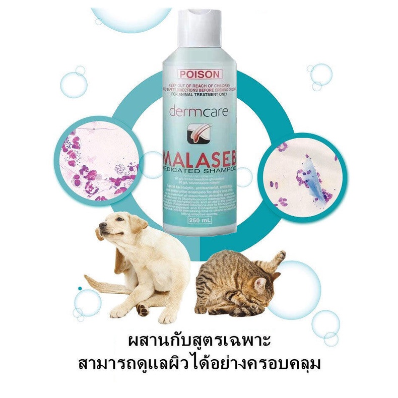 Malasebมาลาเซ็บ shampoo Exp.112568 250 ml Dermcare แชมพู อาบ ฟอก