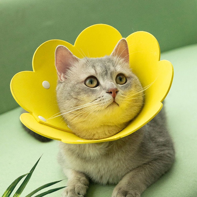 Flower Shaped Cat Recovery Collar Elizabethan Collar Wound Healing