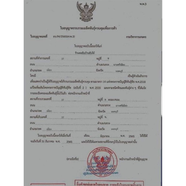 เมล็ดกัน(นอกแท้)Black Berry Auto totonbaantonmai ThaiPick