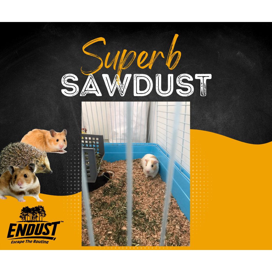 ENDUST 6KG SUPERB SAWDUST for Hamster Bedding Pet Bedding Guinea Pig