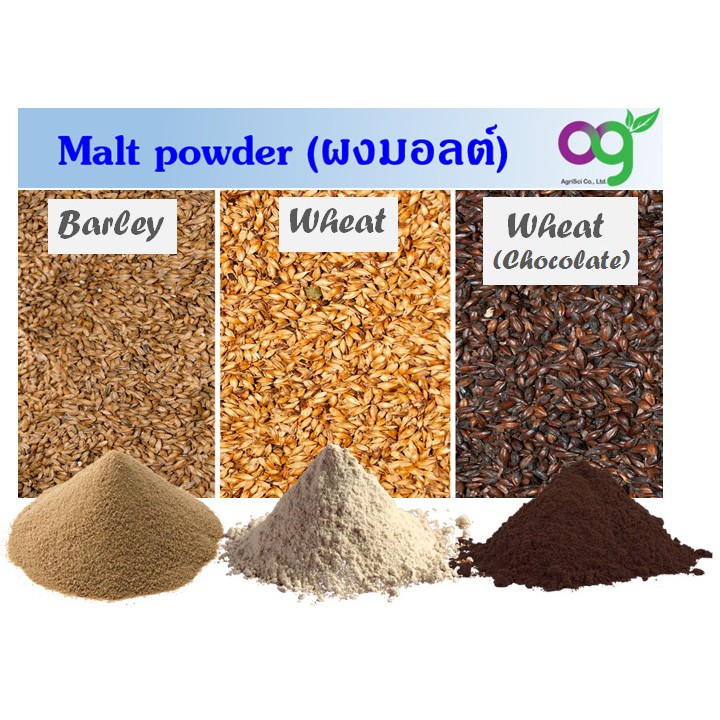 มอลต์บดละเอียด (diastatic malt powder) แป้งมอลต์ ขนาด 500 g (Whole