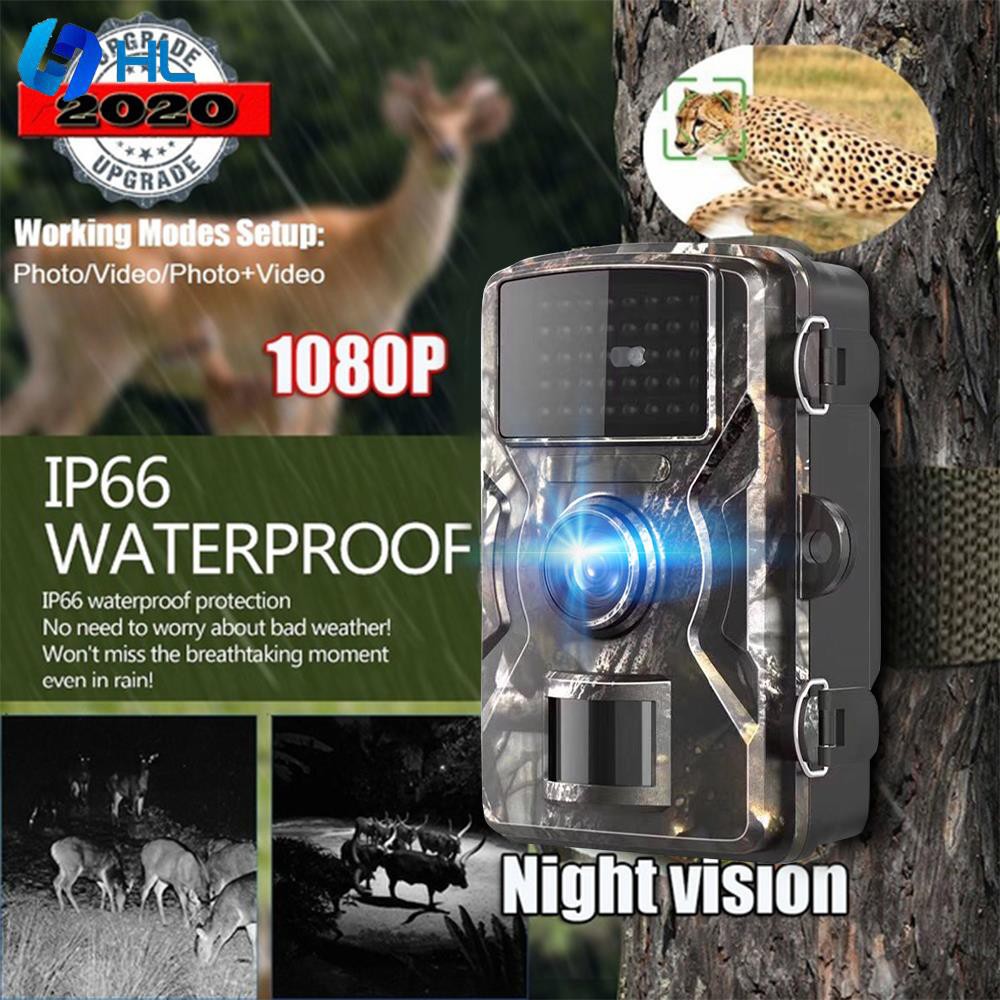 HL Scouting Camera Animal Camera Recording Video Observing Animals IR
