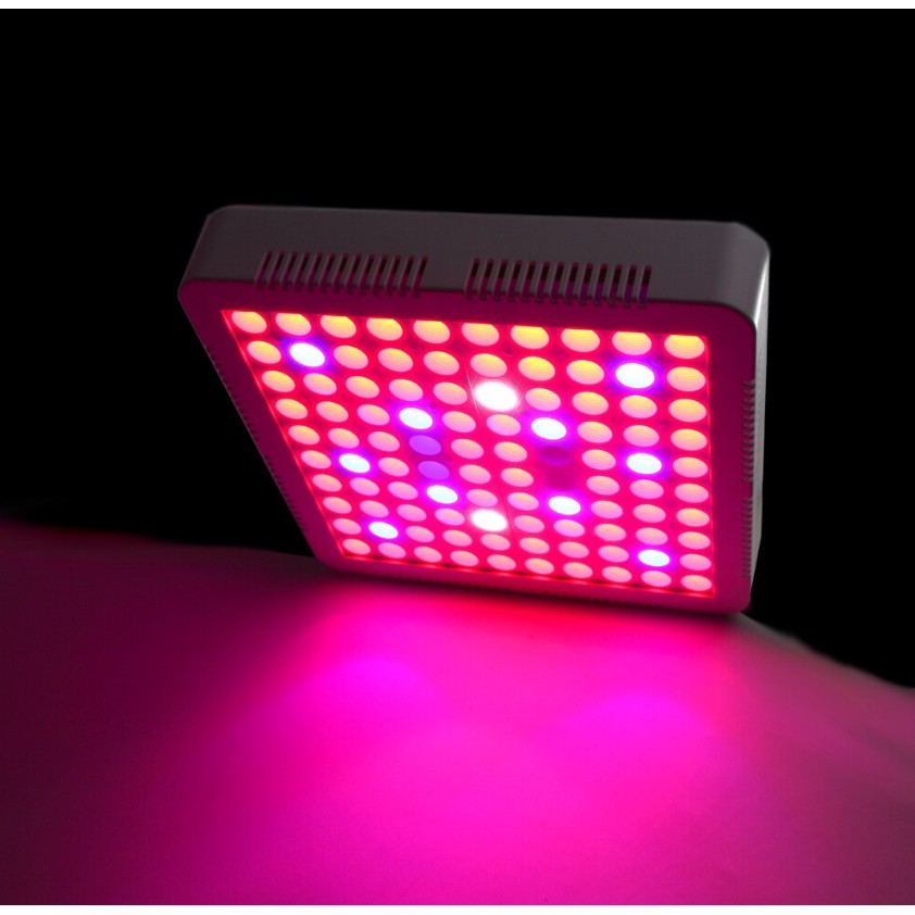 Led Grow Lights Thailand Shelly Lighting