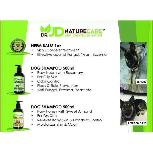Dr. JD / Q Nature Care Raw Honey with Sweet Almond Dog Shampoo 500ML