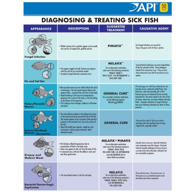 General Cure Freshwater Saltwater Aquarium Parasitic Fish Disease