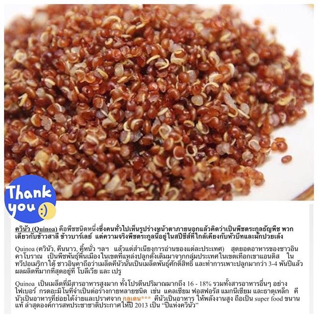 Quinoa ควินัว (สีขาว) Shopee Thailand