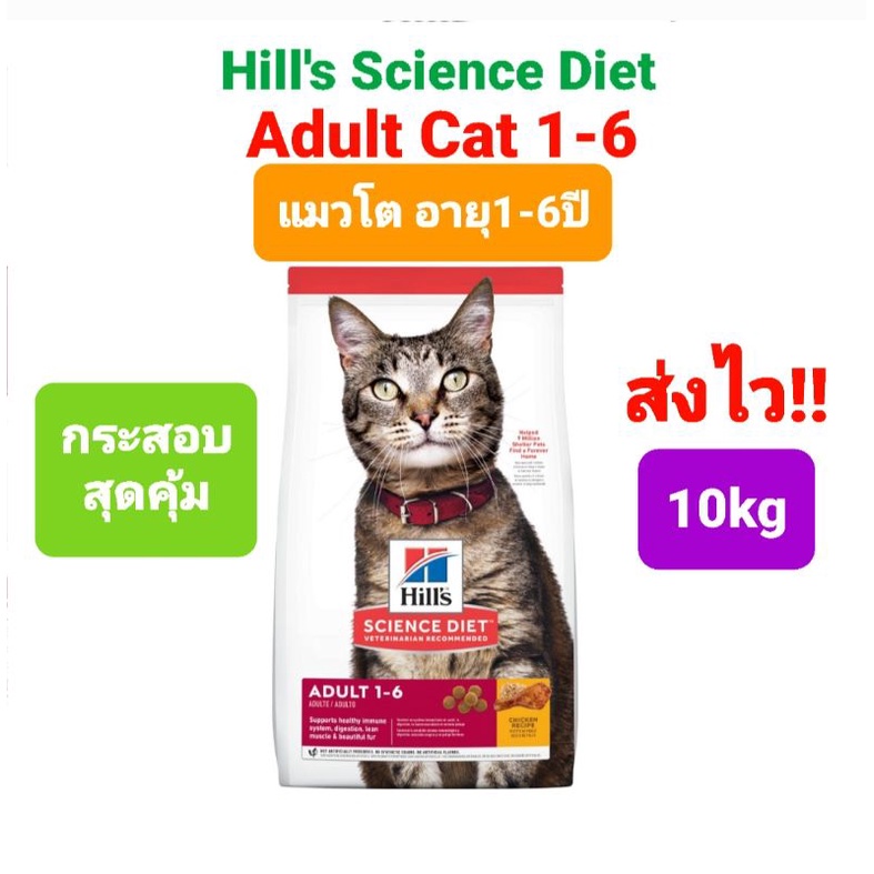 ขาย Hills Science Diet Adult 10kg. อาหารแมวโต ตั้งแต่อายุ 16 ปี