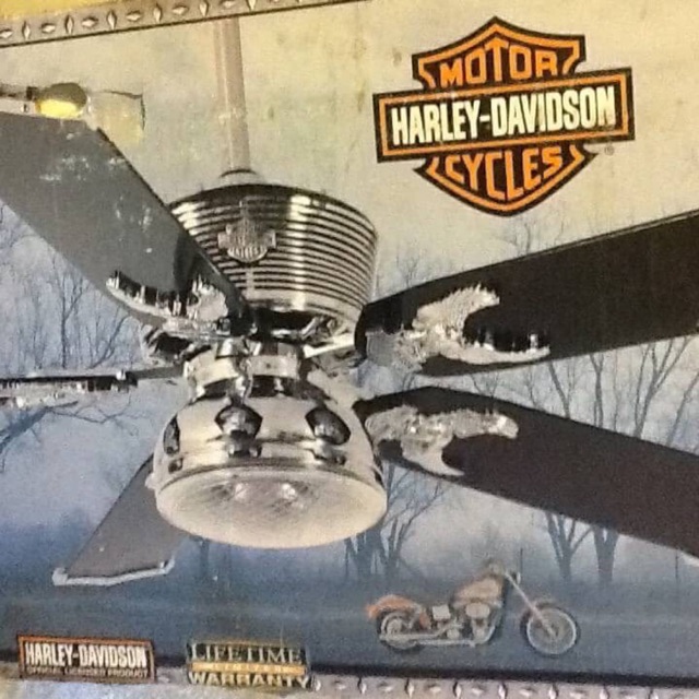 Harley Davidson Ceiling Fan 81001 Shelly Lighting