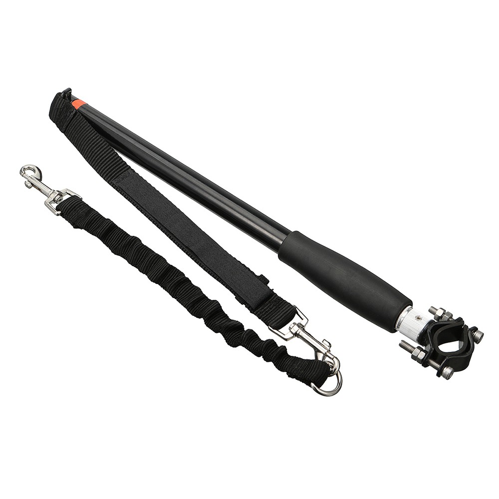 Ready Dog et Leash for Bike Exercise Hands Free Bike Walk Run