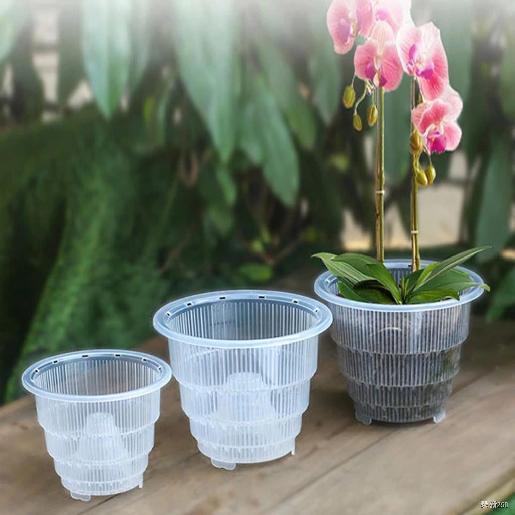 10/12/15cm Orchid Clear Flower Pot Plastic Slotted Breathable Orchid