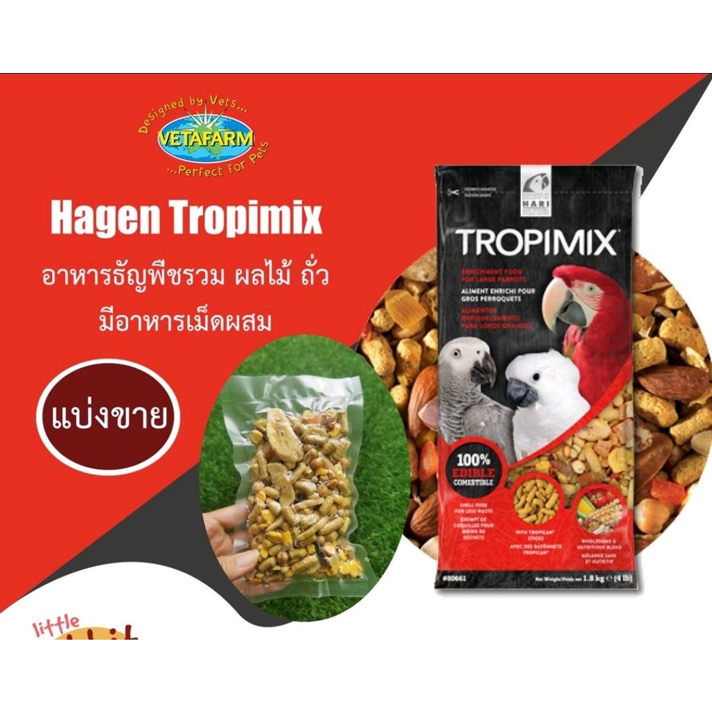 HAGEN Tropimix for large parrots แบ่งขาย อาหารนก ธัญพืชรวม ผลไม้แห้ง