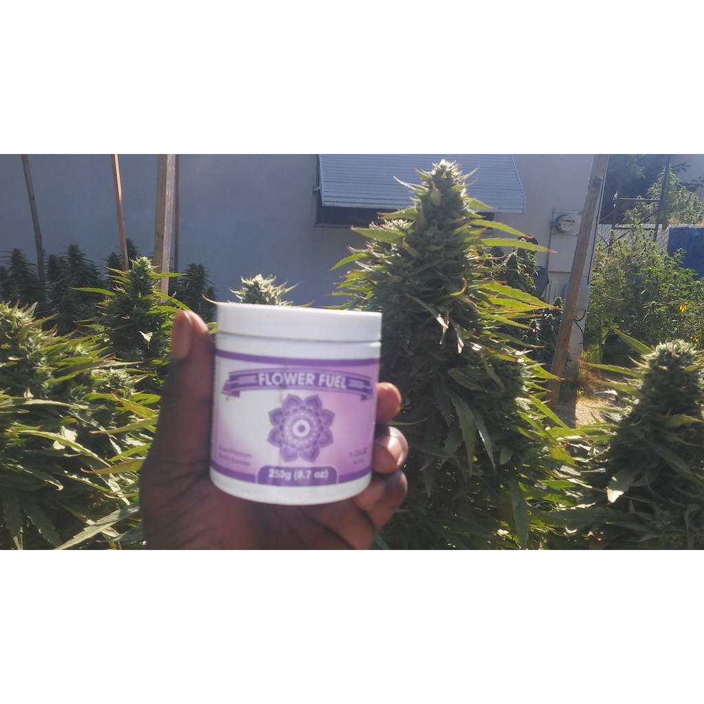 Flower Fuel ปุ๋ย บำรุงดอก 250g. ของแท้ 100 ผง เร่งดอก ทำดอก เร่งโต