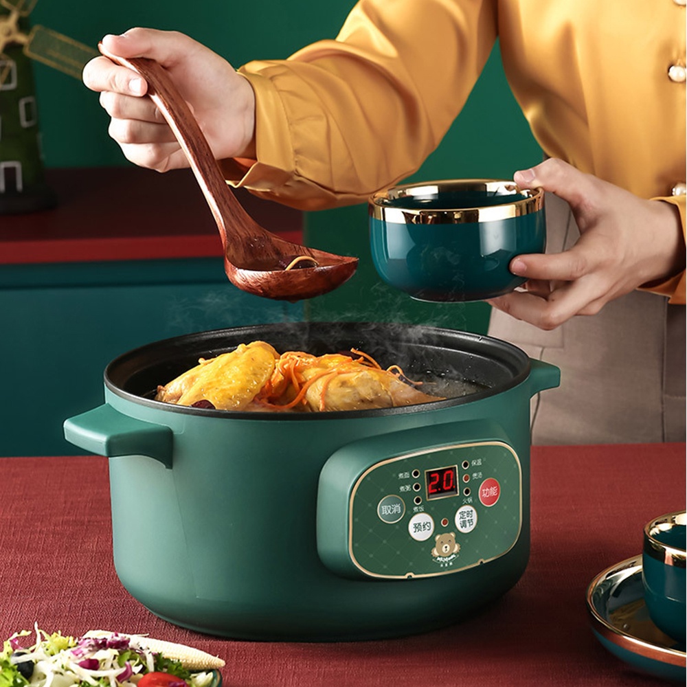 110V/220V Multifunction Electric Soup Stew Noodle Cooking Pot Rice