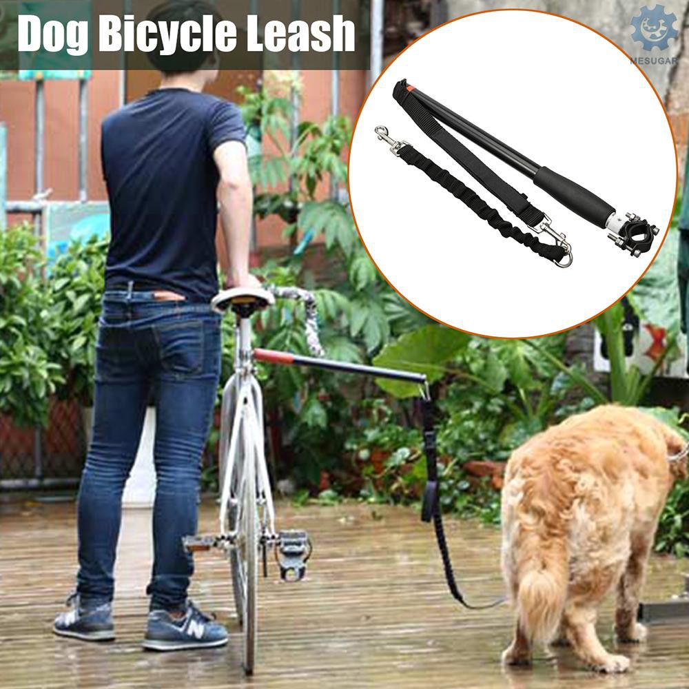 Ready Dog et Leash for Bike Exercise Hands Free Bike Walk Run