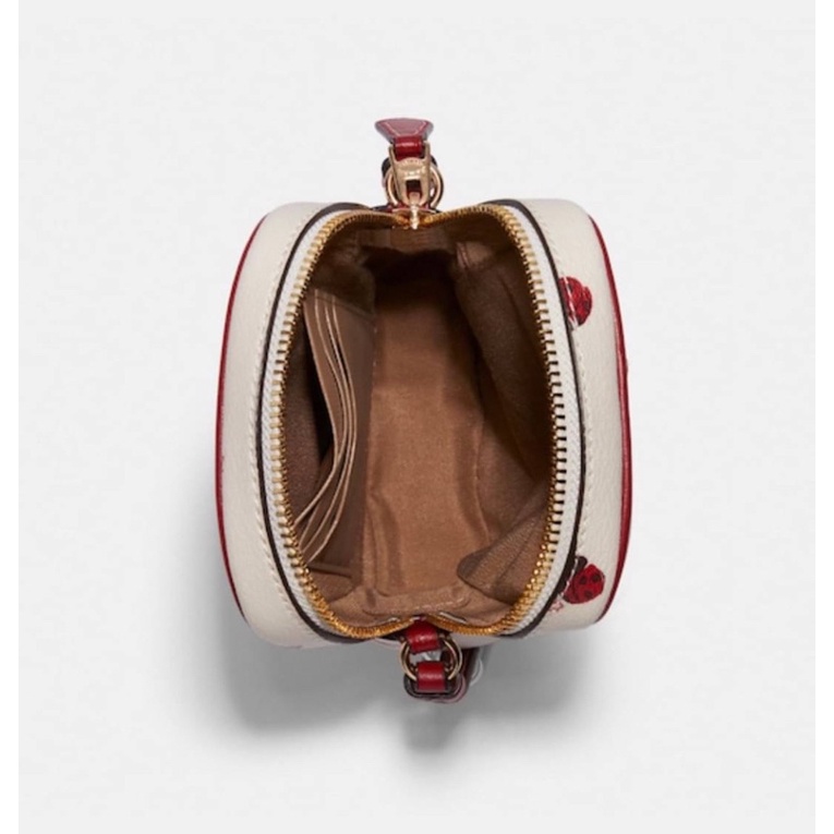 COACH NorthSouth Zip Crossbody In Signature Canvas With Heart Floral