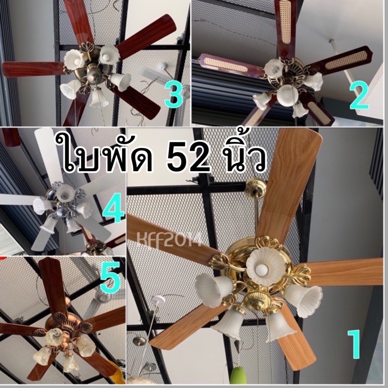 Starlight Ceiling Fan Thailand Shelly Lighting