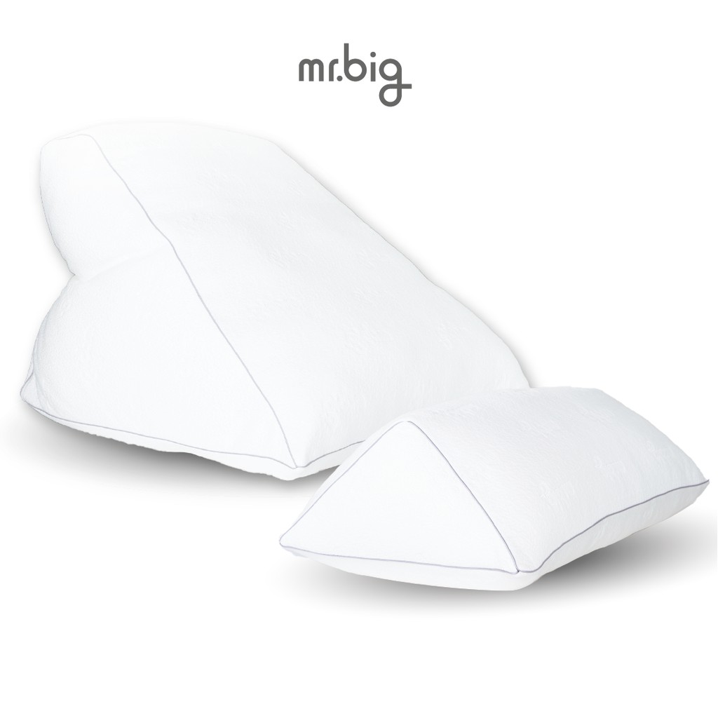 mr.big Bundle Set หมอน Gerd Pillow + Leg Pillow เซตสุดคุ้มหมอนกรดไหล