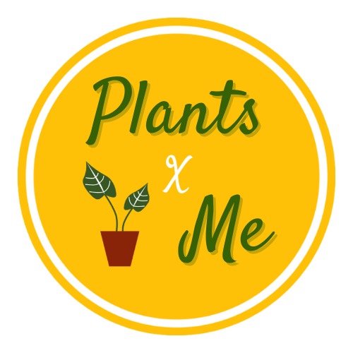 Plants x Me, ร้านค้าออนไลน์ Shopee Thailand