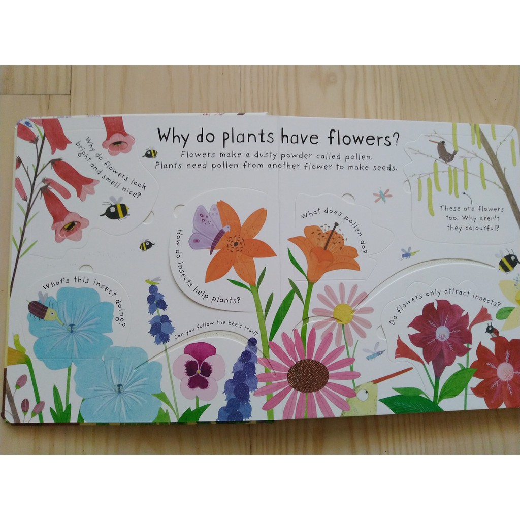 บ้านไหนชื่นชอบดอกไม้ มาหาคำตอบจากหนังสือชุด Usborne How do flowers grow